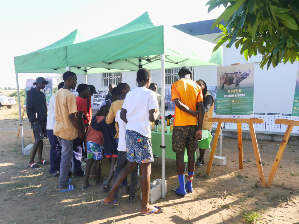 O Museu Até Você: Museu de História Natural de Maputo Leva Educação Ambiental às Escolas e Comunidades da Katembe e Matola