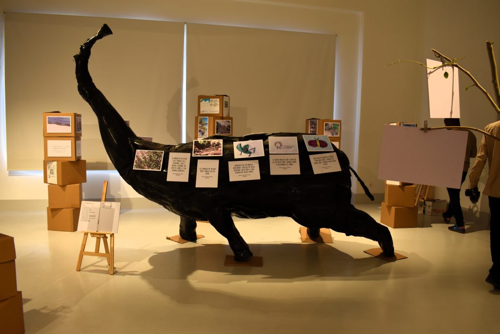 Museu de História Natural de Maputo acolhe exposição “Empoderar o Futuro” sobre mudanças Climáticas
